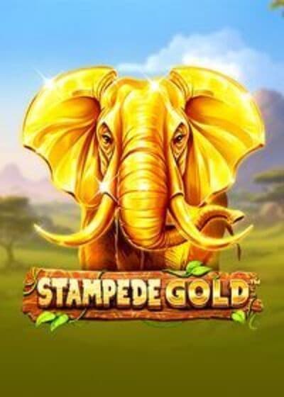 Stampede Gold